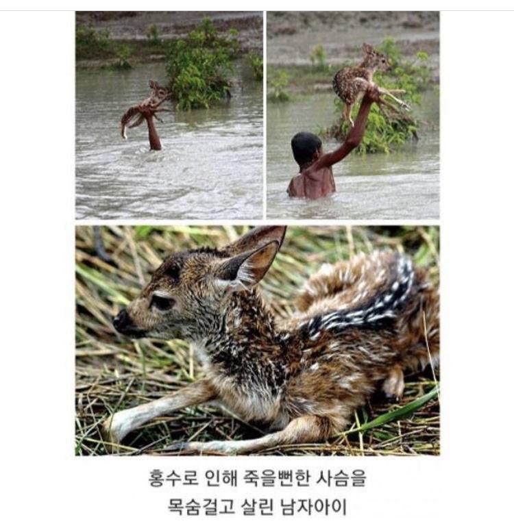 세상이 아직 살만한 이유