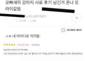 Read more about the article 오빠가 내 아이디로 남긴 후기