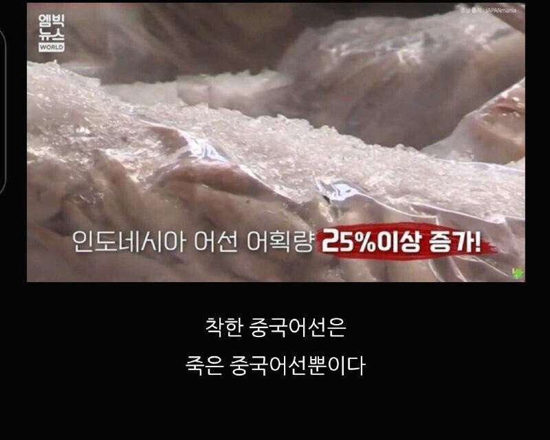 가끔 인도네시아가 부럽다