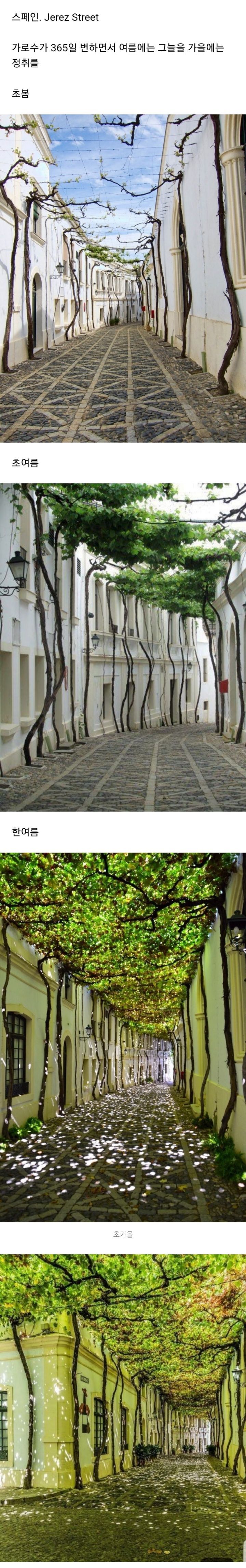 조경 디자인 성공사례