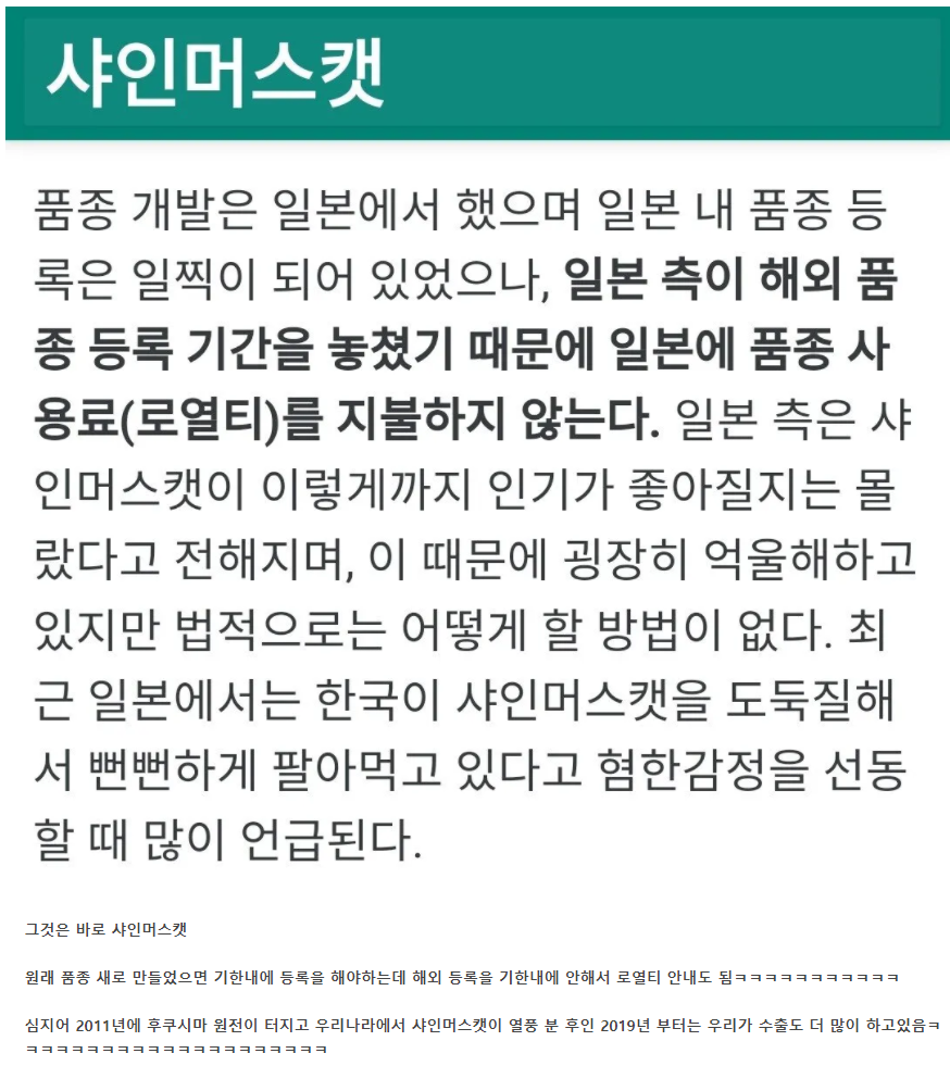 일본의 가장 큰 실수