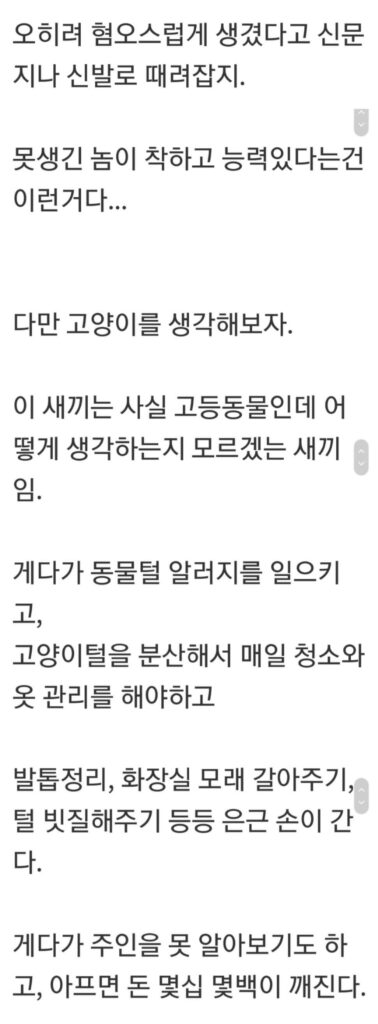 여자들이 때리는 남자보다 못생긴 남자를 더 싫어하는 이유