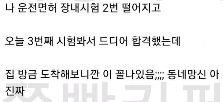 Read more about the article 아니 친오빠 미친 거 아니야???