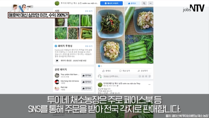 애호박 대신 '이거' 심어서 수익 200% 늘어난 남자