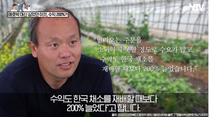 애호박 대신 '이거' 심어서 수익 200% 늘어난 남자