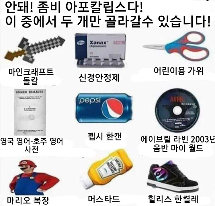 좀비 아포칼립스에 들고갈 물건을 고르시오