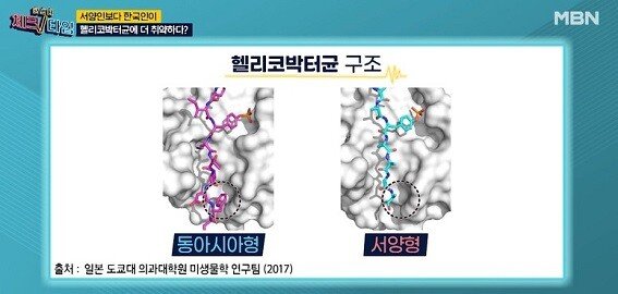 한국인 (+동아시아인) 들이 서양인처럼 먹으면 X 되는 이유