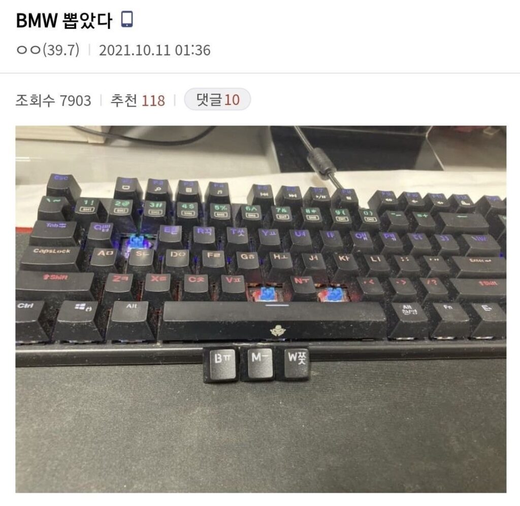 허언증 갤러리 미친놈들 모음