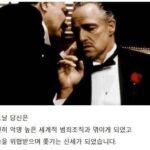 당신은 마피아에게 쫓기고 있습니다