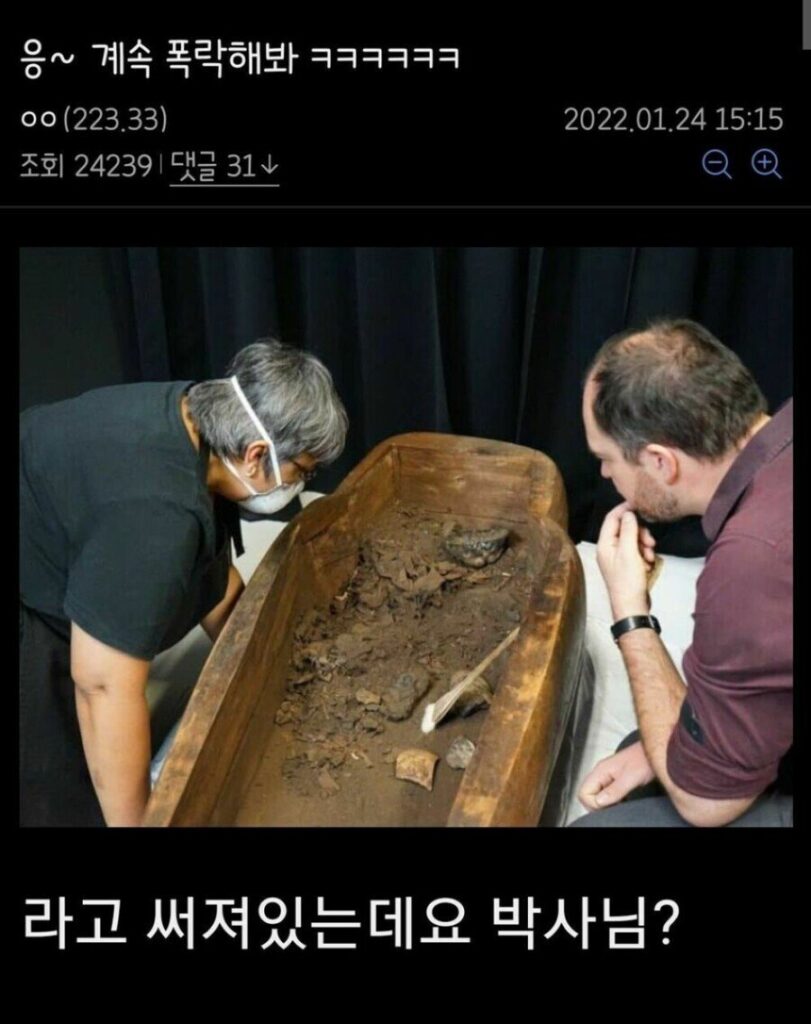 삐에로 밈 모음