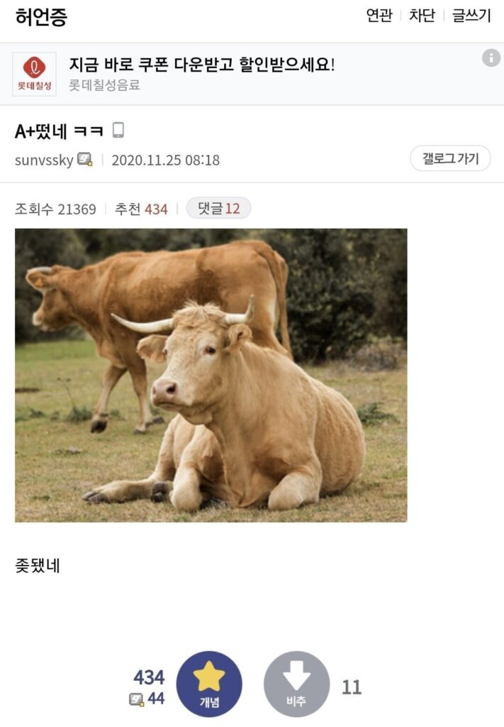 허언증 갤러리 미친놈들 모음