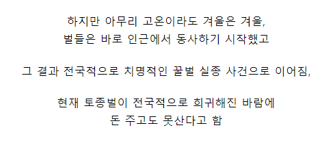 현재 전국을 급습한 꿀벌 실종사건 합동조사 결과