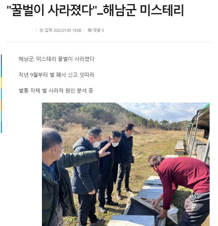 현재 전국을 급습한 꿀벌 실종사건 합동조사 결과