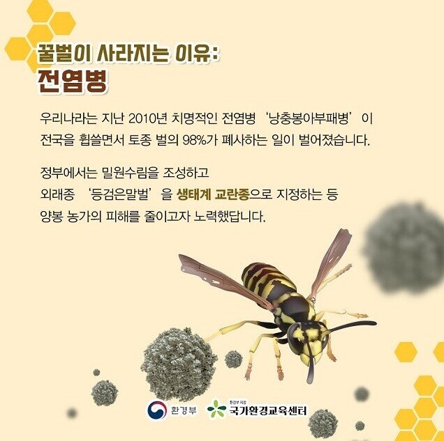 현재 전국을 급습한 꿀벌 실종사건 합동조사 결과