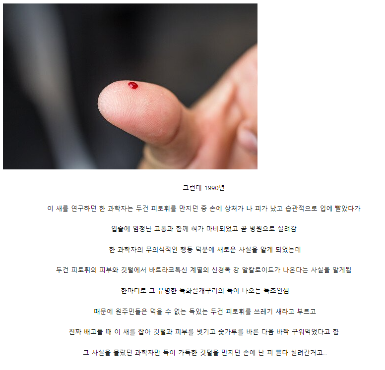 이 새가 공식적 세계 유일 타이틀을 얻게 된 사연