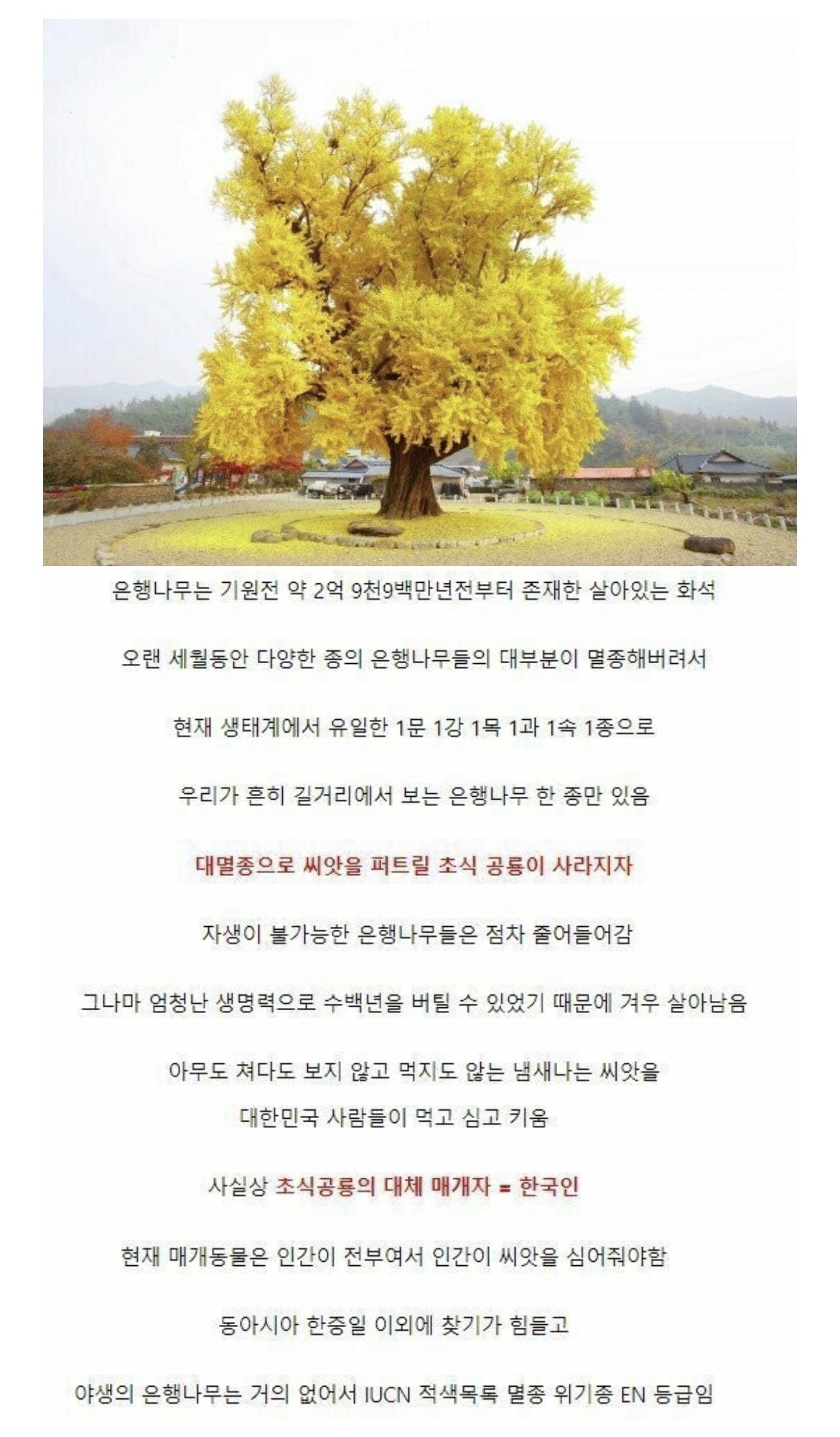 의외의 멸종위기 1급 식물