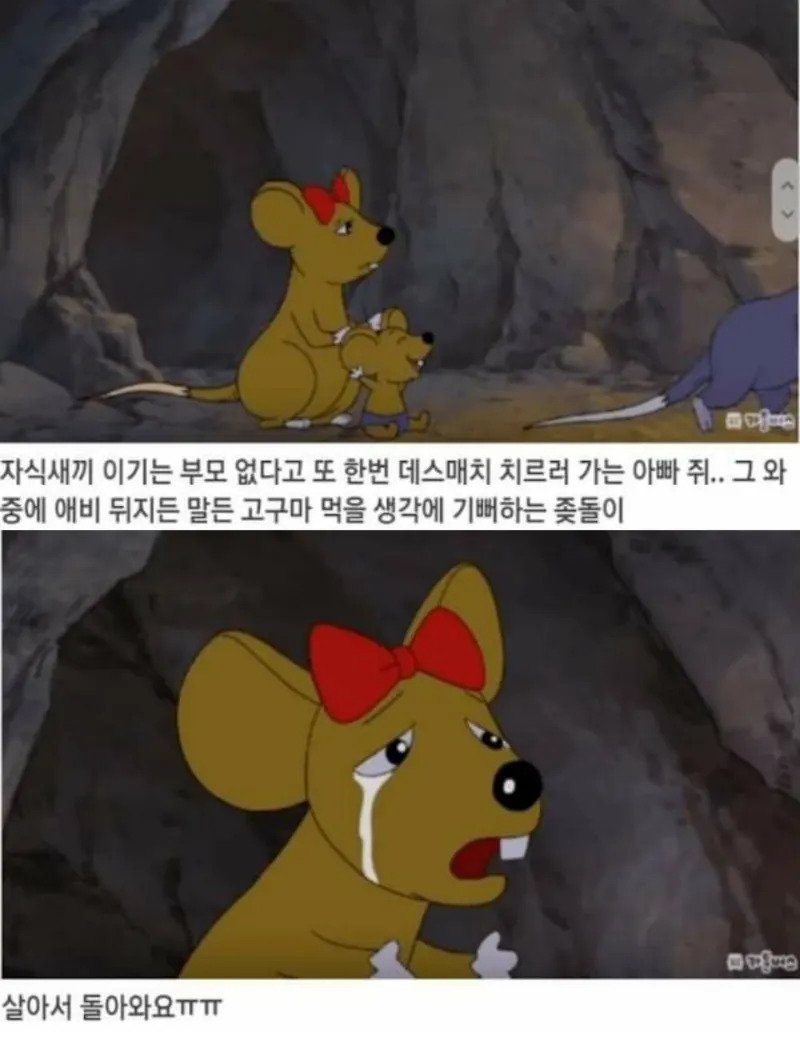 검정고무신 레전드 발암캐 좆돌이