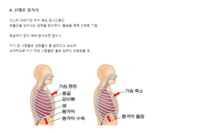 현재까지 '이태원 압사사건' 정보 요약