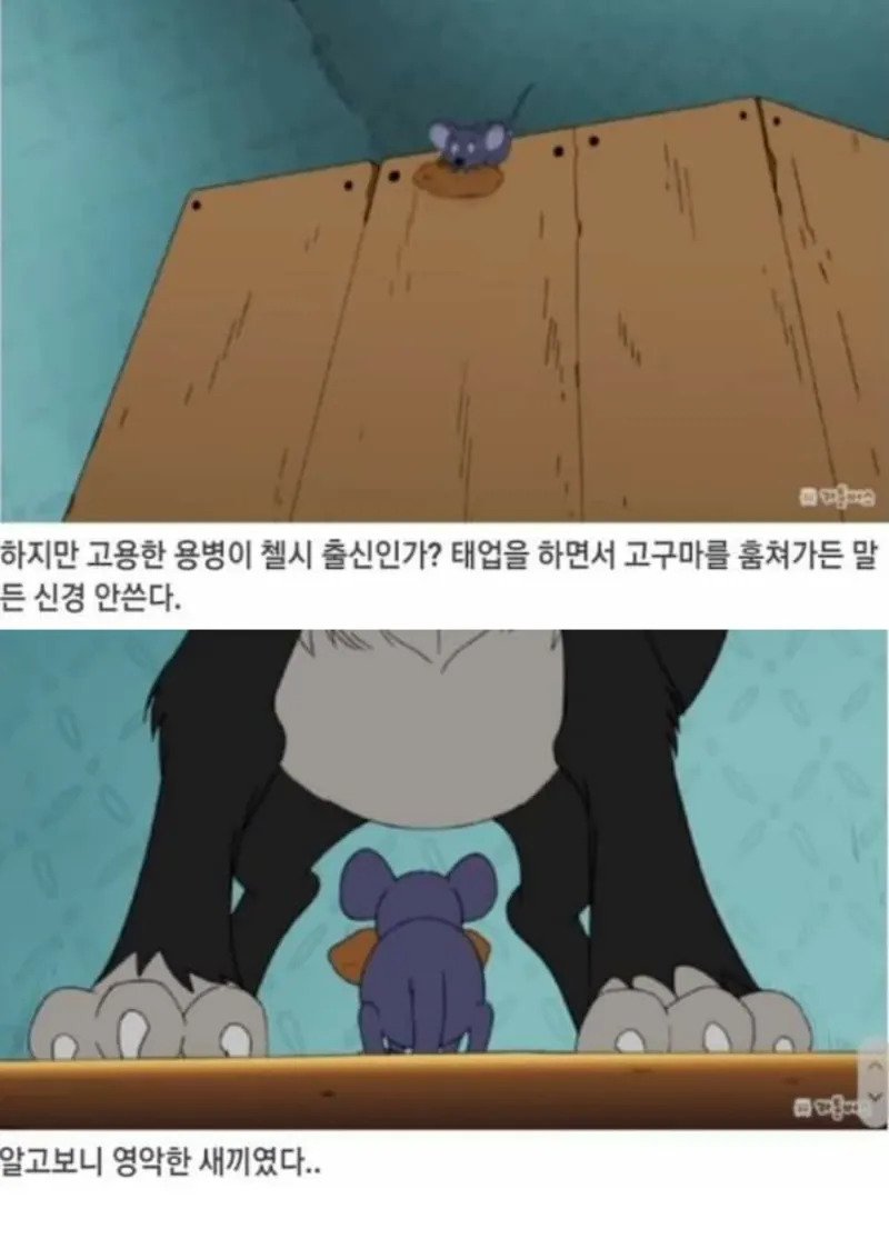 검정고무신 레전드 발암캐 좆돌이