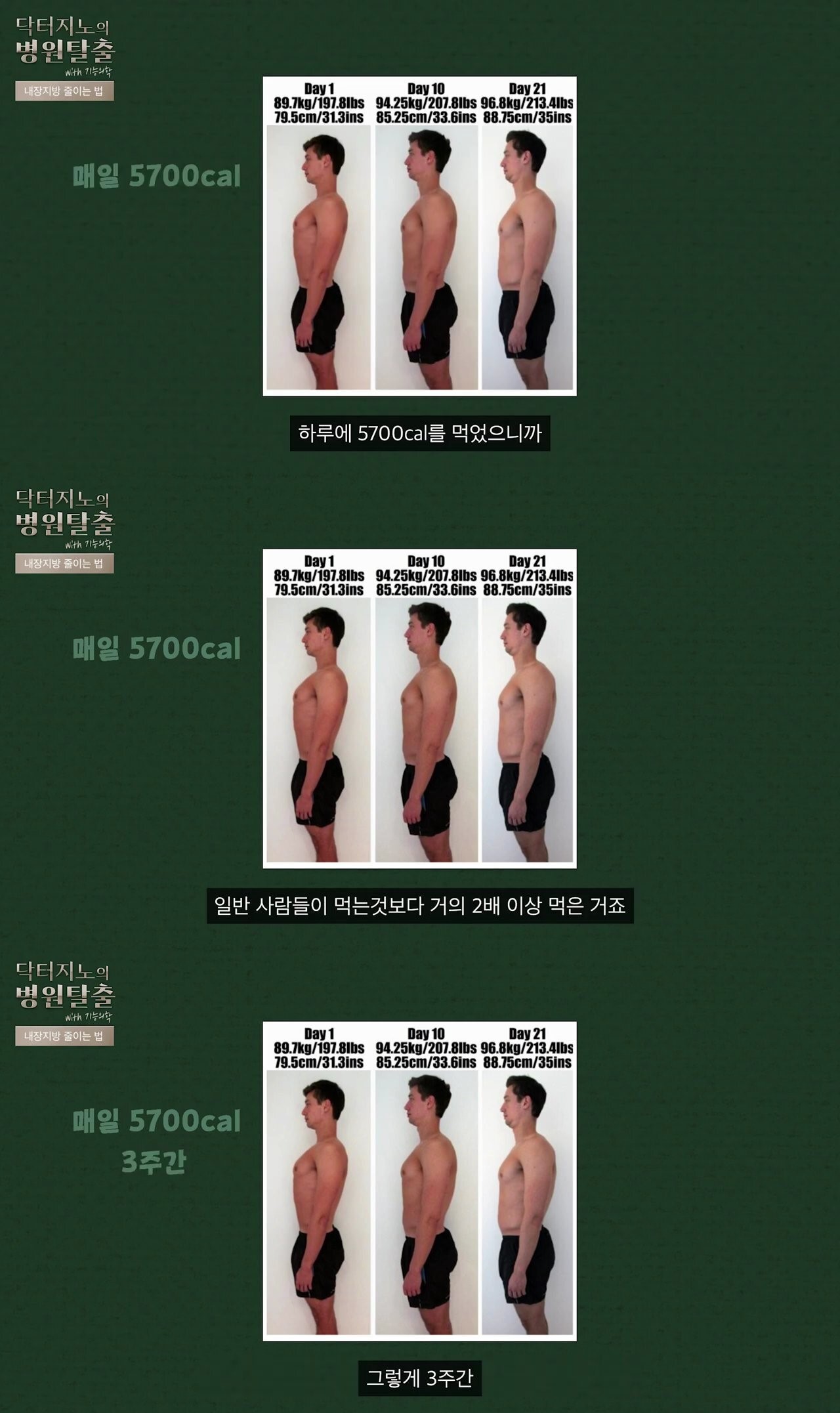 배부르게 먹고 뱃살 빼는 방법