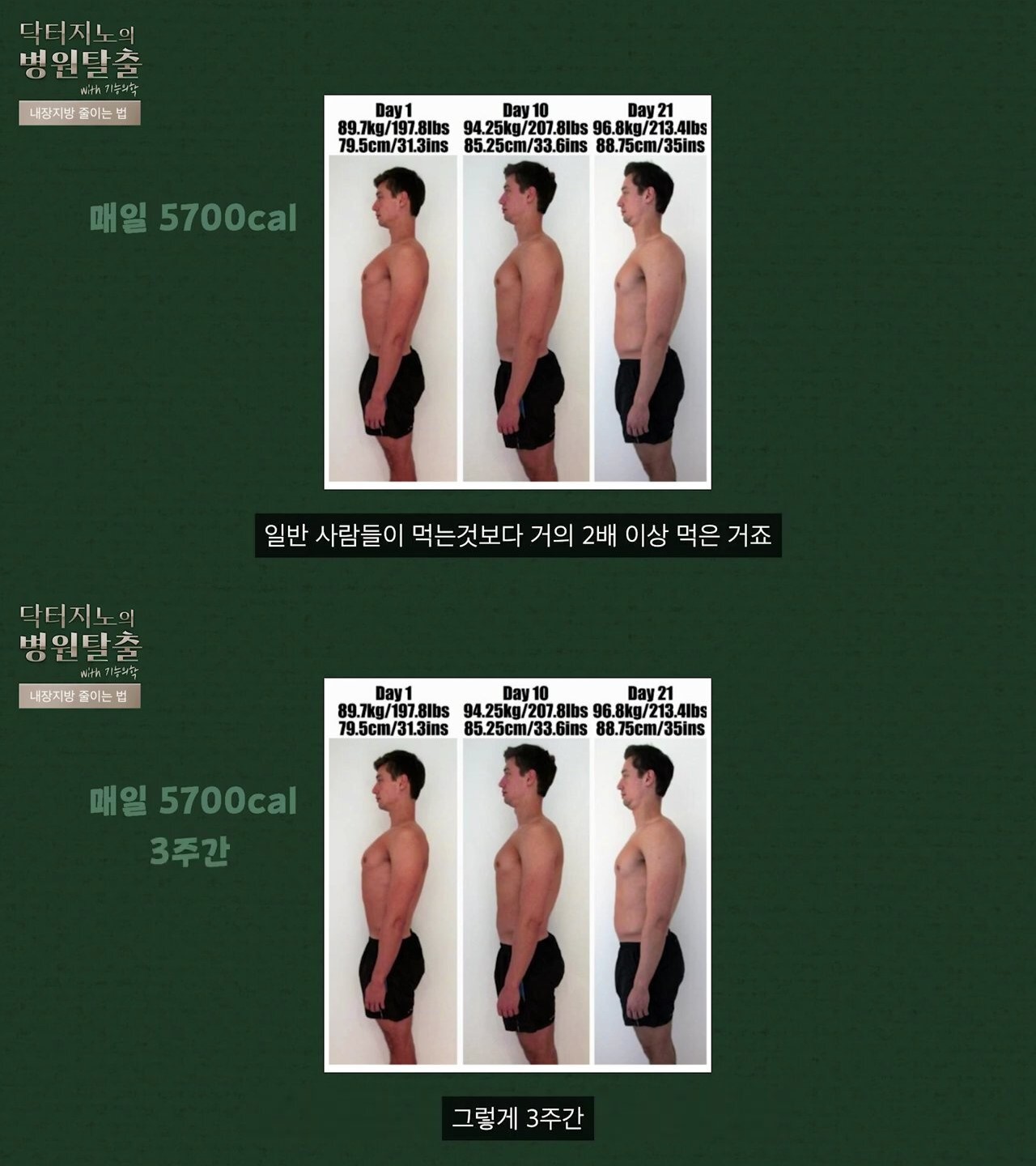 배부르게 먹고 뱃살 빼는 방법